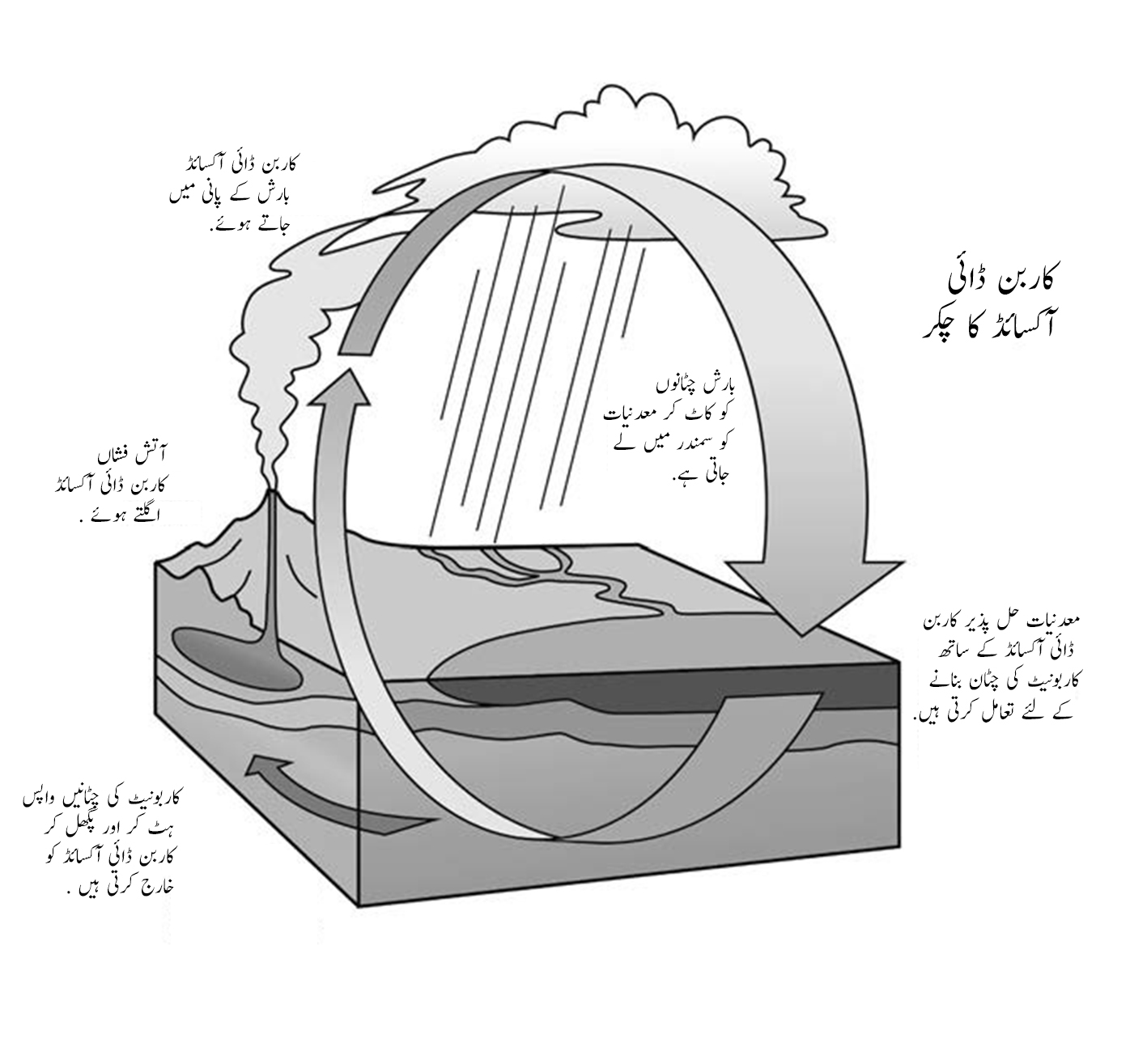 10.2 کاربن ڈائی آکسائڈ کا چکر (جس کو عرف عام میں کاربونیٹ سلیکیٹ کا چکر بھی کہتے ہیں) جو آتش فشانوں سے شروع ہوتا ہے جن کو بائیں جانب دکھایا ہے یہ کاربن ڈائی آکسائڈ مہیا کرتے ہیں ، جو کرۂ فضائی میں پانی کے ذریعہ جذب ہو جاتی ہے ، پھر بارش کے ذریعہ سطح پر برستی ہے ، بر اعظموں کو کاٹتی ہے اور بازیافتہ ہو کر ٹیکٹونک پلیٹوں کے ذریعہ زمین کے گرم اندرون میں واپس باہر نکلنے کے لئے آ جاتی ہے ۔