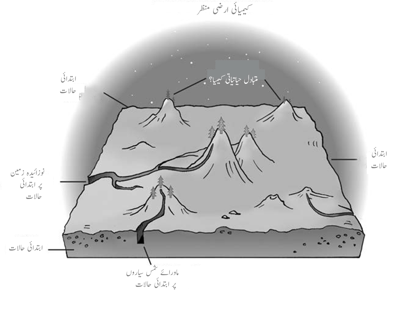 12.1یہاں پر پیش کیا جانے والا کیمیا میدان  ایک تمثیل ہے جو  تمام سالمات کی جگہ اور ان کے کیمیائی تعاملات  کو مثال کے طور پر سالماتی  تعاملیت  کی صورت میں پیش کر رہی ہے ۔ خالی جگہ کے ارد گرد سالماتی ترتیب (جوہروں سے پائی گئی ) کے داخلی راستے مختلف ماحول  میں  گھرے ہوئے ہیں ۔ ہم ان کو "ابتدائی شرائط " کہتے ہیں ۔ ایسی ابتدائی حالت جیسی کہ زمین پر شروع میں تھی اکثر قدرتی طور پر نمودار ہو سکتی ہے؛  اکثر اس کو تجربہ گاہ میں بھی حاصل کیا جا سکتا ہے ۔ میدانی منظر میں دکھائی جانے والی سب سے اونچی چوٹی  کرۂ ارض کی حی